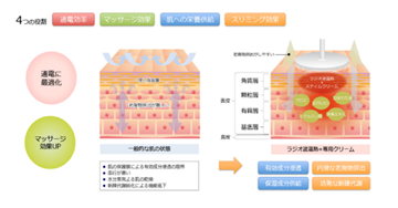 冷え性改善・サイズダウン・セルライト軽減効果が可能となり、痩せやすい身体づくりが可能となります