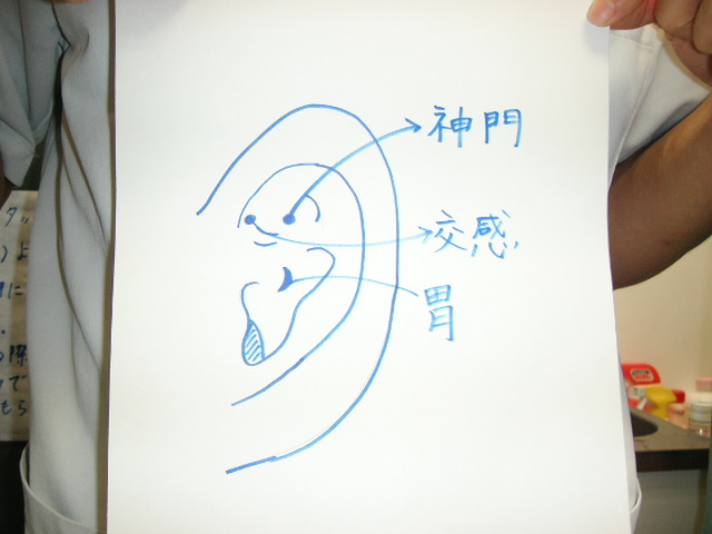 grp0718185525.JPG 640×480 77K grp0718185525.JPG 640×480 77K