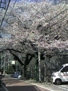 mb_0331224340.jpg 240×320 16K mb_0331224340.jpg 240×320 16K