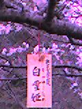 mb_0509135506.jpg 120×160 8K mb_0509135506.jpg 120×160 8K