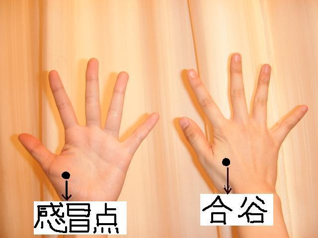 KIF_0900.JPG 640×480 42K KIF_0900.JPG 640×480 42K