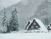 gifu.jpg 170×128 6K gifu.jpg 170×128 6K