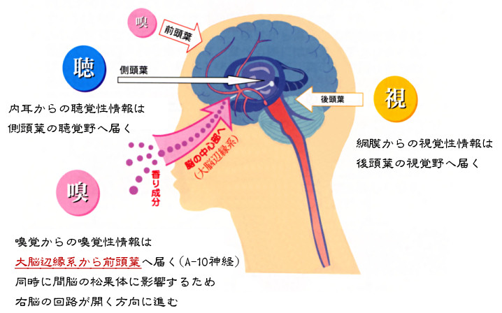 grp0408160607.jpg 718×448 81K grp0408160607.jpg 718×448 81K