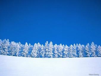 snow9.jpg 340×255 21K snow9.jpg 340×255 21K