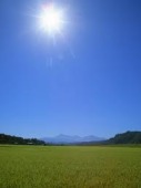 yjimageCARP4CKN.jpg 127×170 3K yjimageCARP4CKN.jpg 127×170 3K